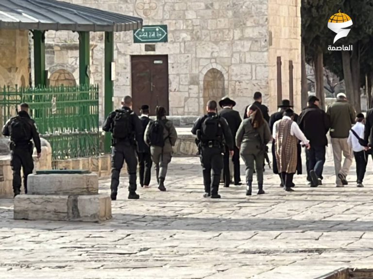 مستوطنون يقتحمون المسجد الأقصى وقوات الإحتلال يشدد اجراءاته  في عيد “المساخر”.