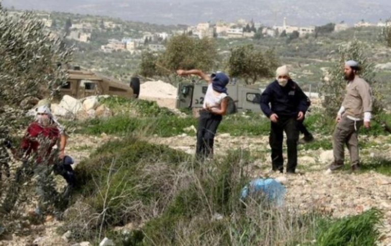 1490 اعتداءً من الاحتلال والمستوطنين في الضفة الغربية خلال شهر أكتوبر
